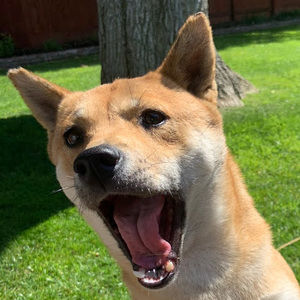 Meet your Posher, Rob